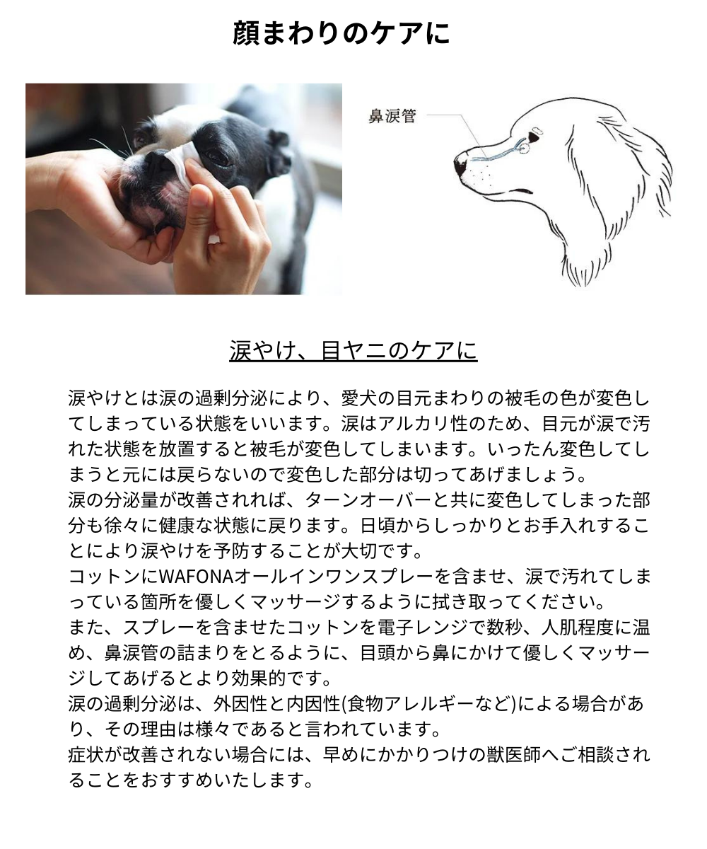 All-in-one Spray オールインワンスプレー