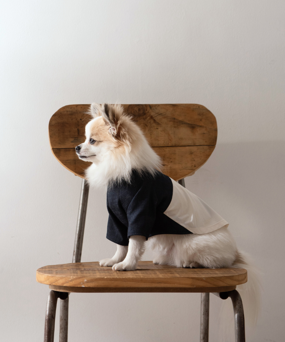 COTIRA|バイカラーワンピース(2色) シンプルな犬服・上品ワンピース COTIRA|バイカラーワンピース(2色) シンプルな犬服・上品ワンピース