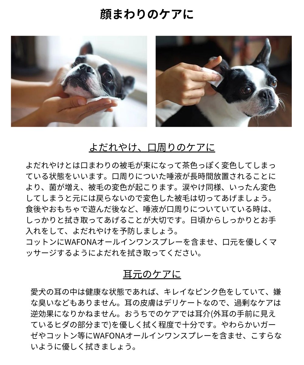 All-in-one Spray オールインワンスプレー