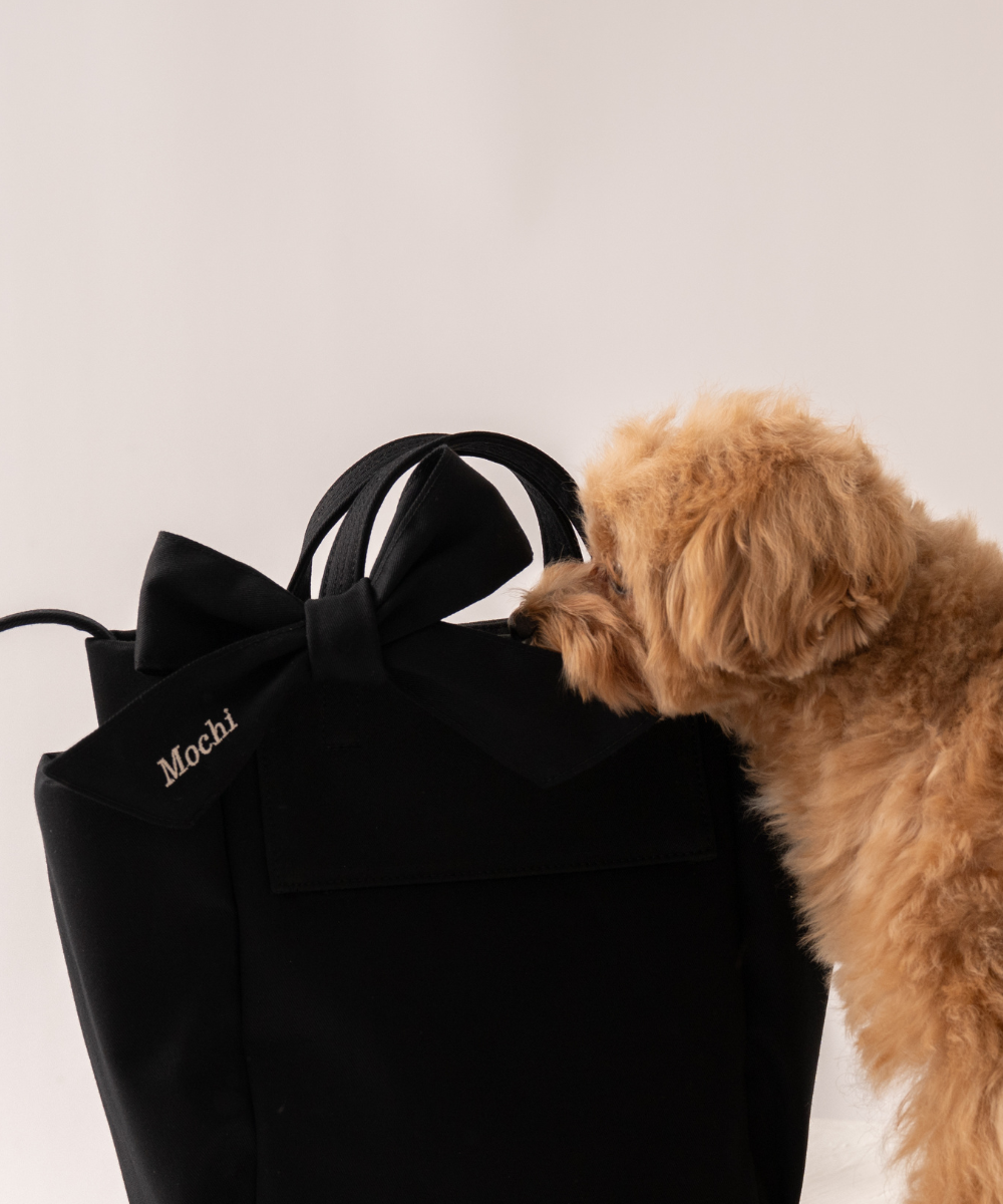 ãðãªãã³ä»ããReady Bag ãªãŒã¬ããã¯ã³ããã³ãåºããããã°ïŒå
åŽæè仿§ïŒïŒ2colorïŒ