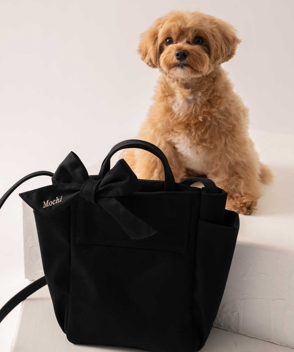 ãðãªãã³ä»ããReady Bag ãªãŒã¬ããã¯ã³ããã³ãåºããããã°ïŒå
åŽæè仿§ïŒïŒ2colorïŒ