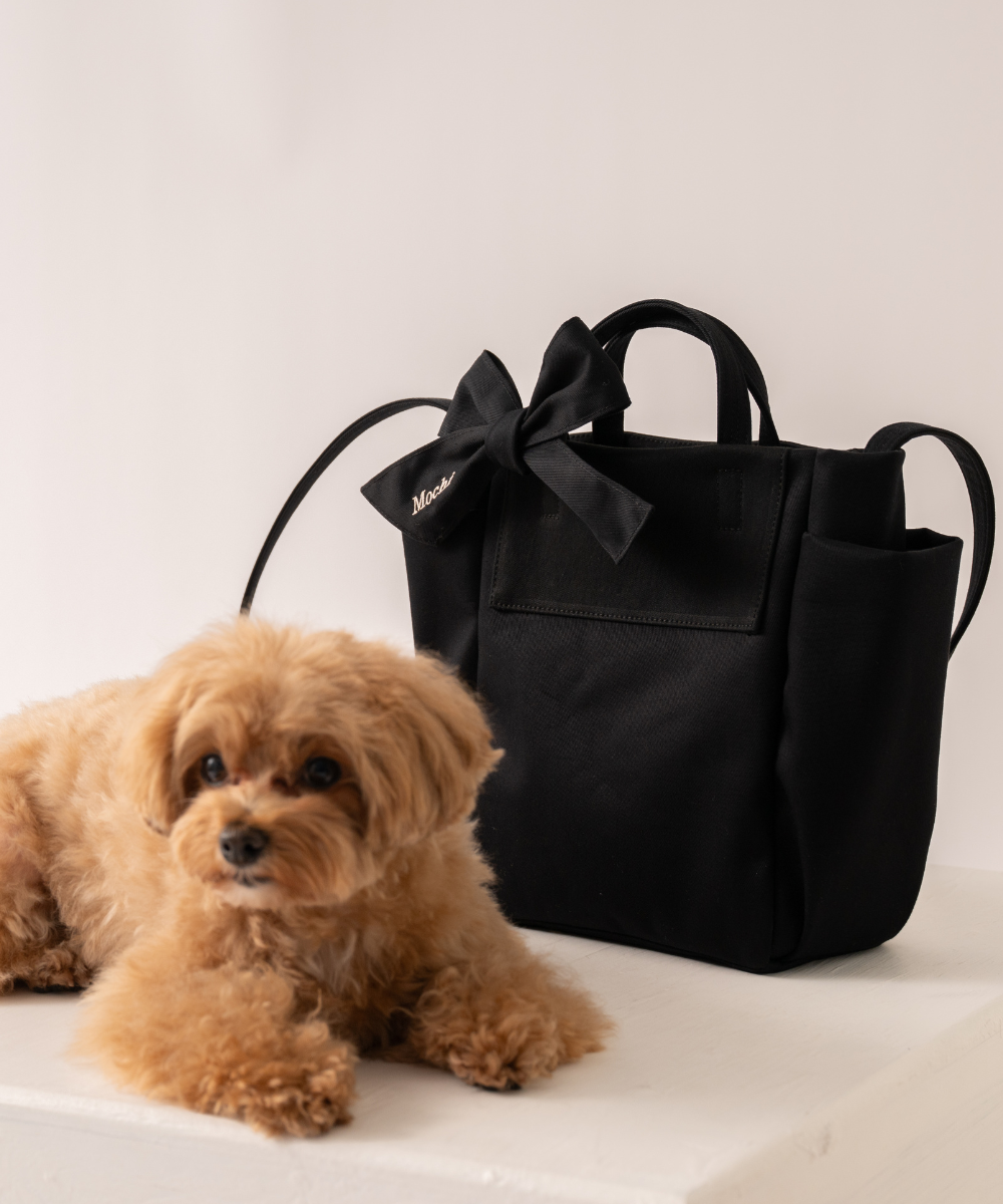 ãðãªãã³ä»ããReady Bag ãªãŒã¬ããã¯ã³ããã³ãåºããããã°ïŒå
åŽæè仿§ïŒïŒ2colorïŒ