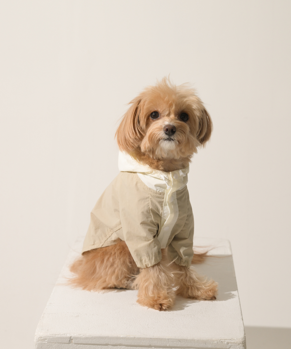 2Tone Botanical Color Jacket 2トーンボタニカルカラージャケット【巾着付き】(4color)