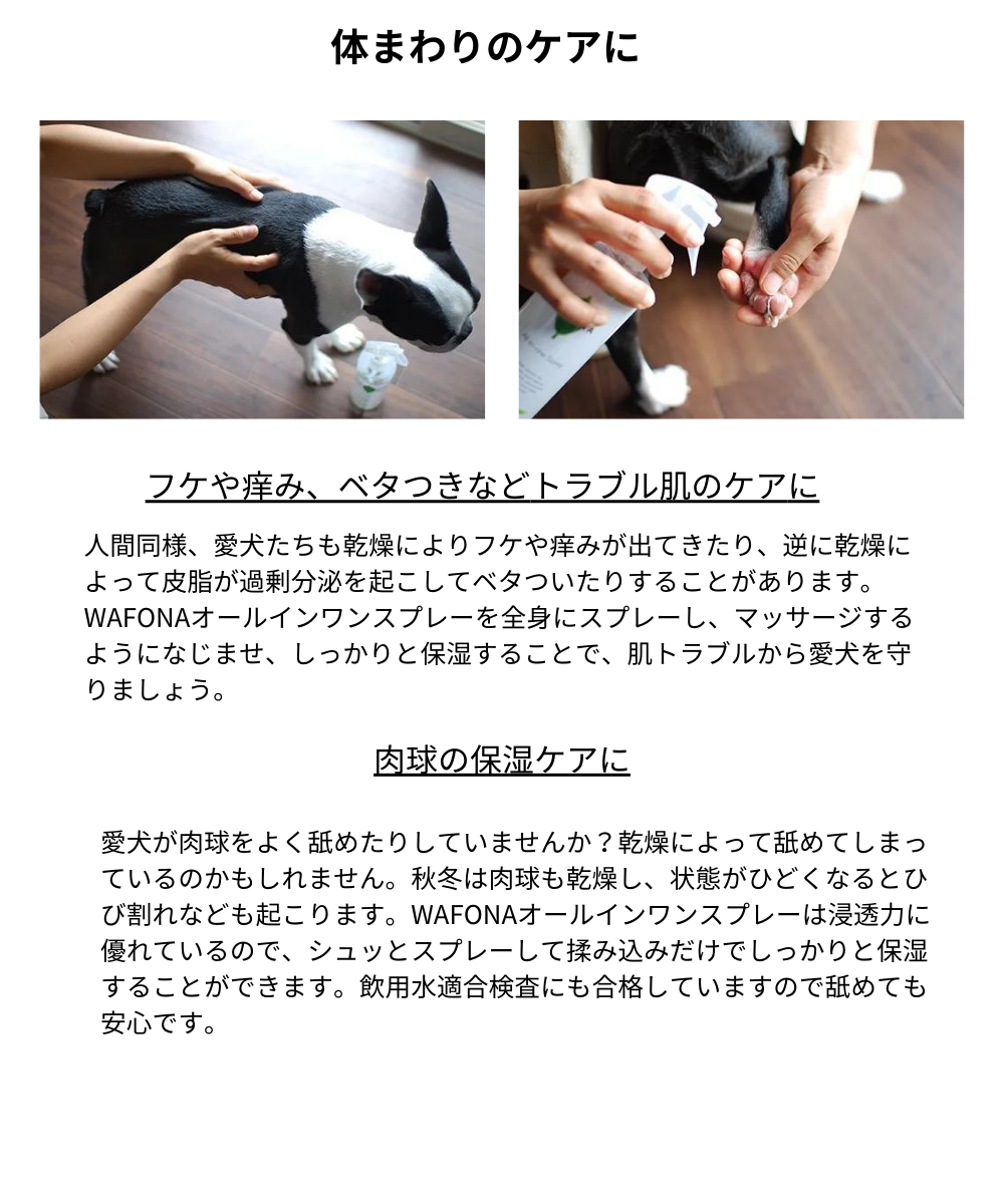 All-in-one Spray オールインワンスプレー