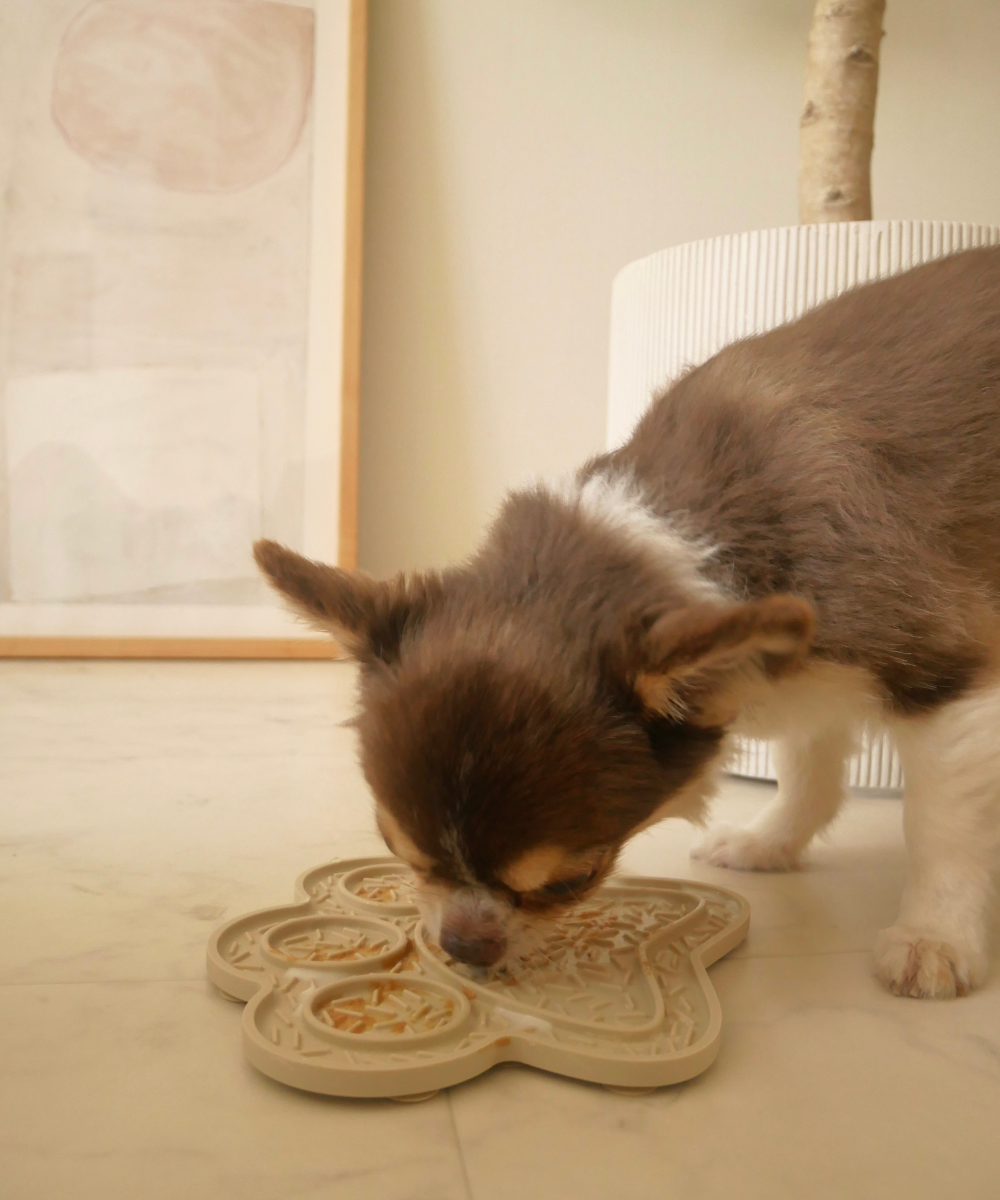 《LICK MAT》舐めて遊べる犬用お皿マット