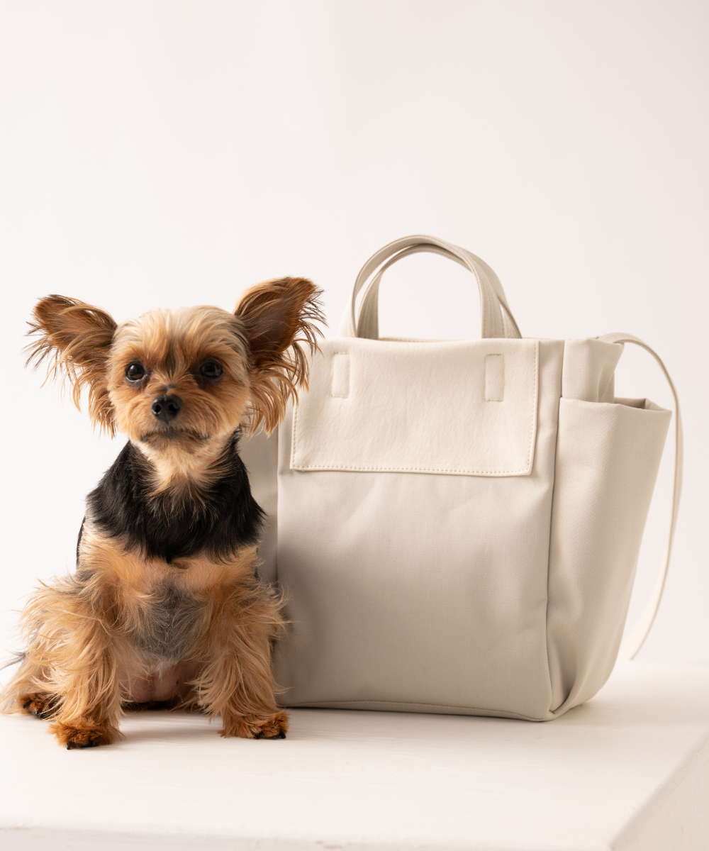 ãðãªãã³ä»ããReady Bag ãªãŒã¬ããã¯ã³ããã³ãåºããããã°ïŒå
åŽæè仿§ïŒãªããã¯ã€ã