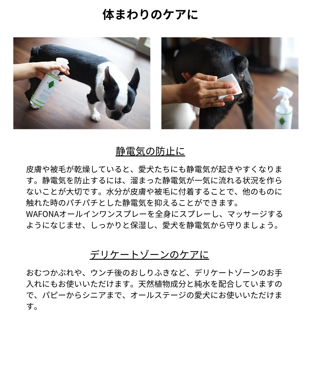 All-in-one Spray オールインワンスプレー