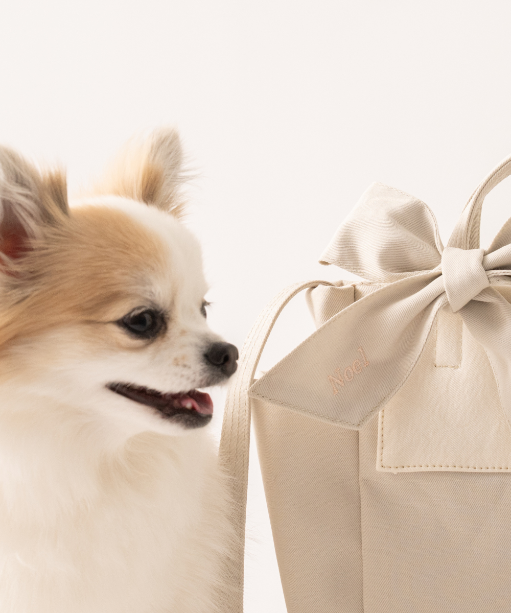 ãðãªãã³ä»ããReady Bag ãªãŒã¬ããã¯ã³ããã³ãåºããããã°ïŒå
åŽæè仿§ïŒãªããã¯ã€ã
