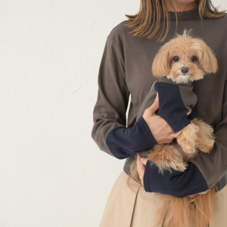 <p>Link Collection</p>