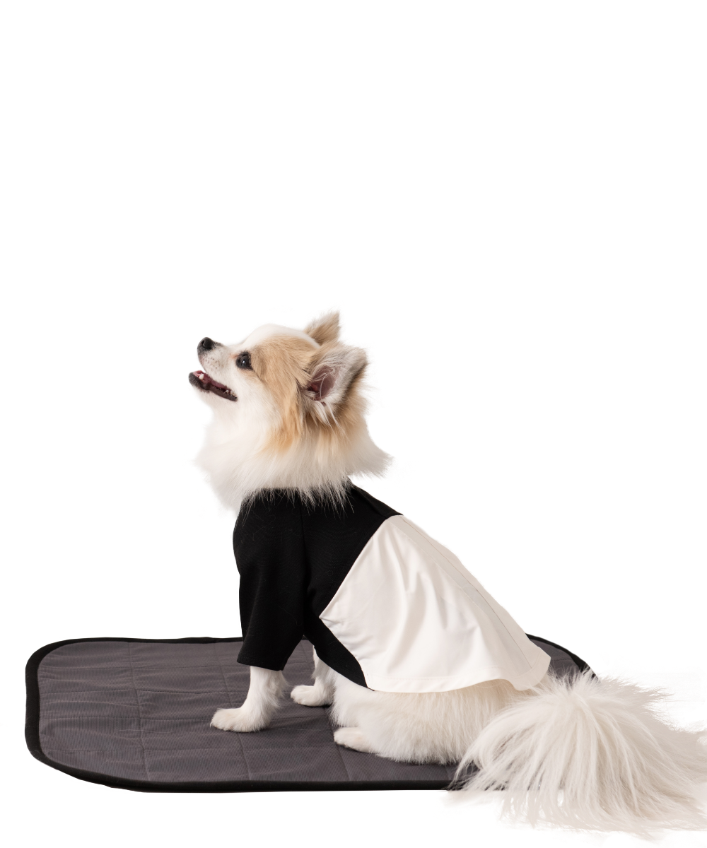 Cafe Mat カフェマット(2color)