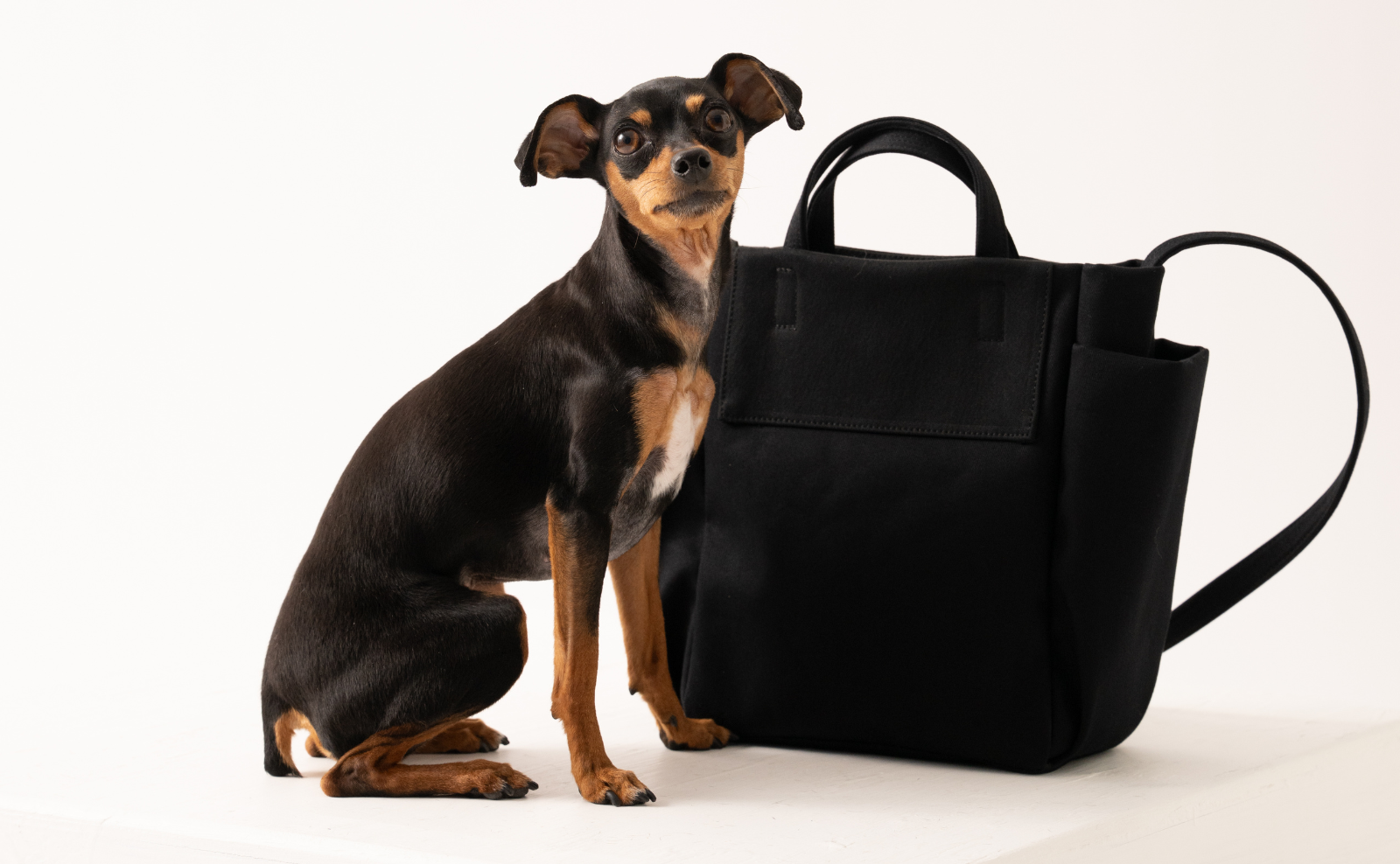 【Ready Bag】発売直後の反響と完売のお知らせ