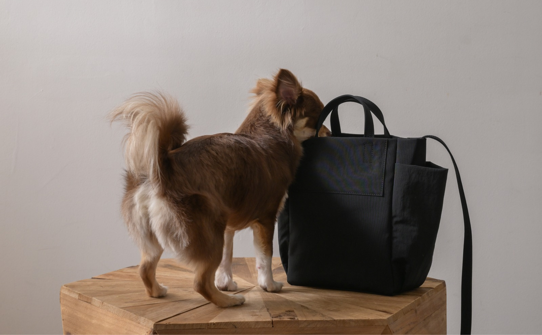 おしゃれも、心地よさも、環境へのやさしさも。毎日使いたいReady Bag