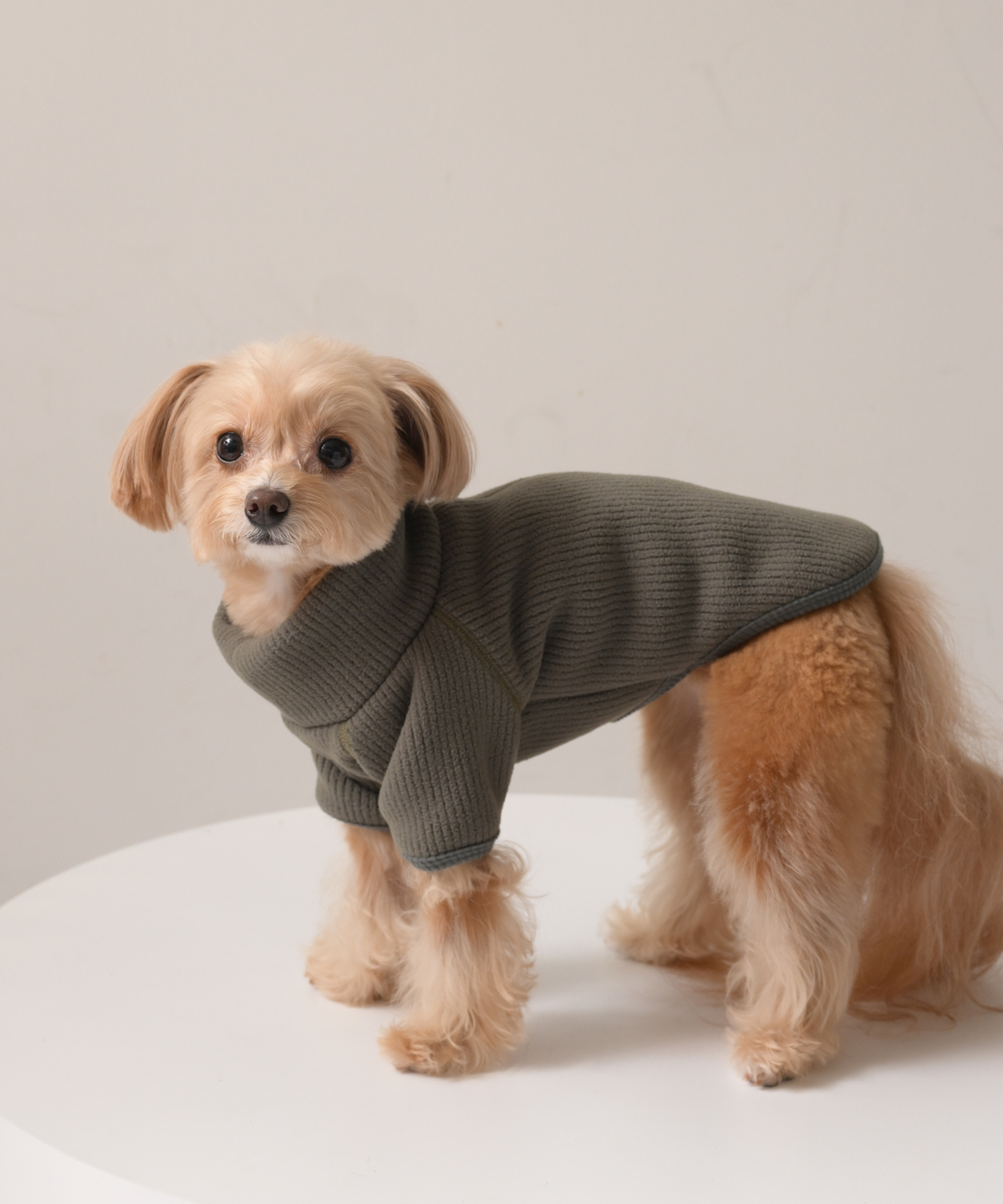 【10月24日（土）10:00 販売開始】　High-Neck Recycled Ribbed Fleece　ハイネックリサイクルリブフリース