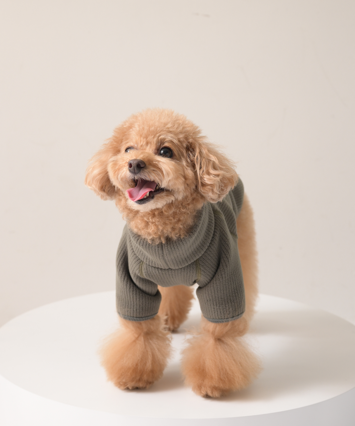 【10月24日（土）10:00 販売開始】　High-Neck Recycled Ribbed Fleece　ハイネックリサイクルリブフリース