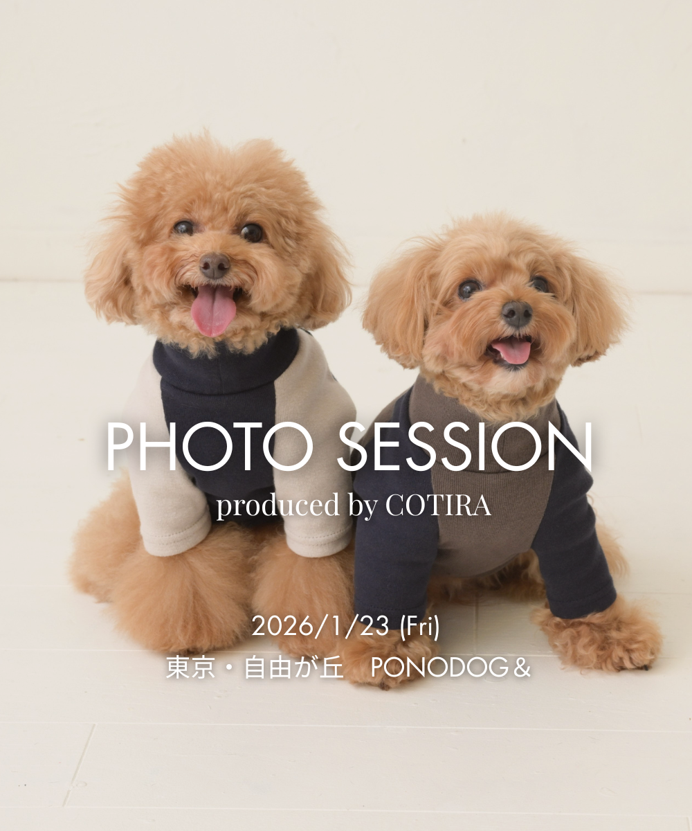 予約【小さな撮影会】2026年1月23日(金)PHOTO SESSION — produced by COTIRA