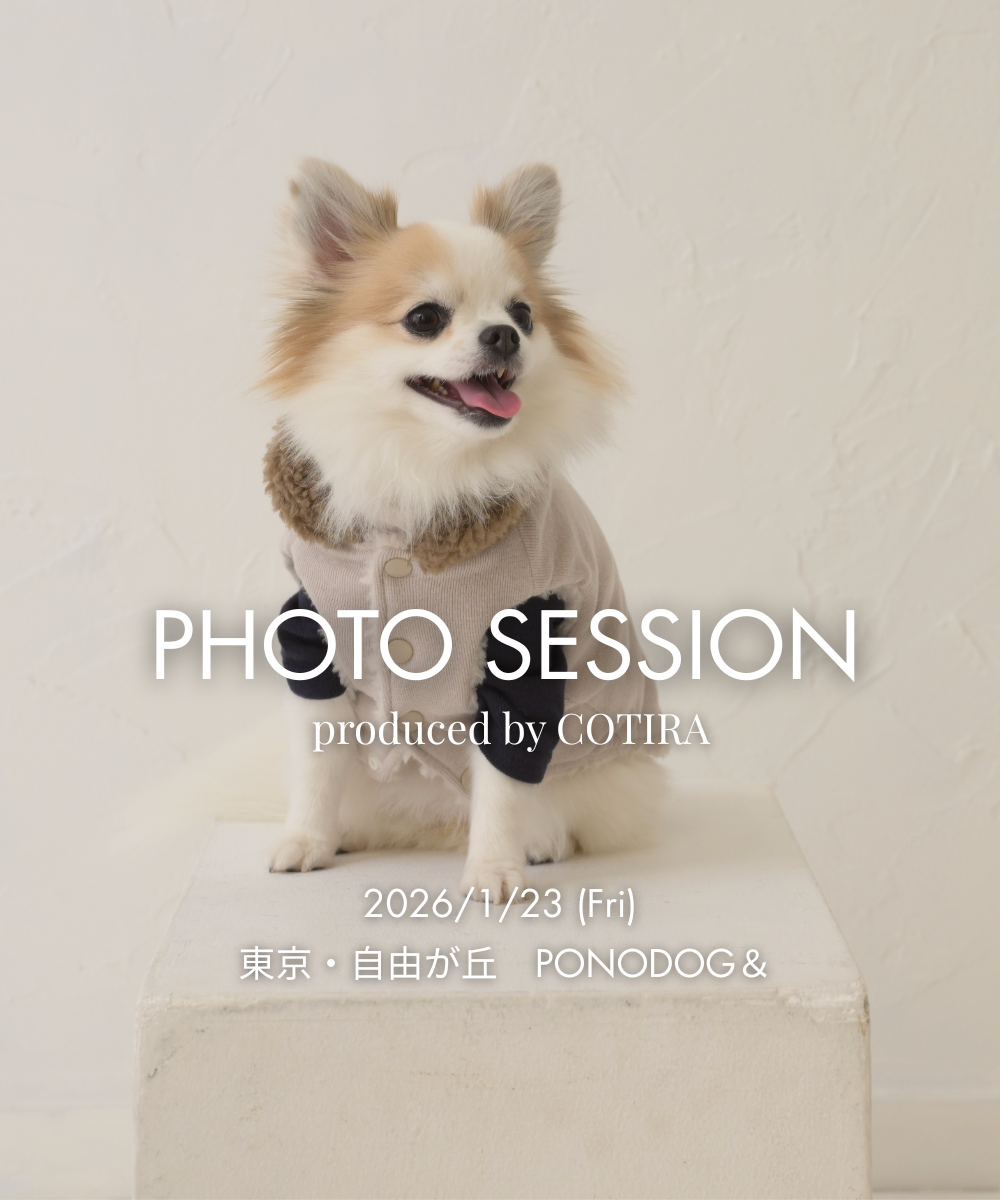 予約【小さな撮影会】2026年1月23日(金)PHOTO SESSION — produced by COTIRA