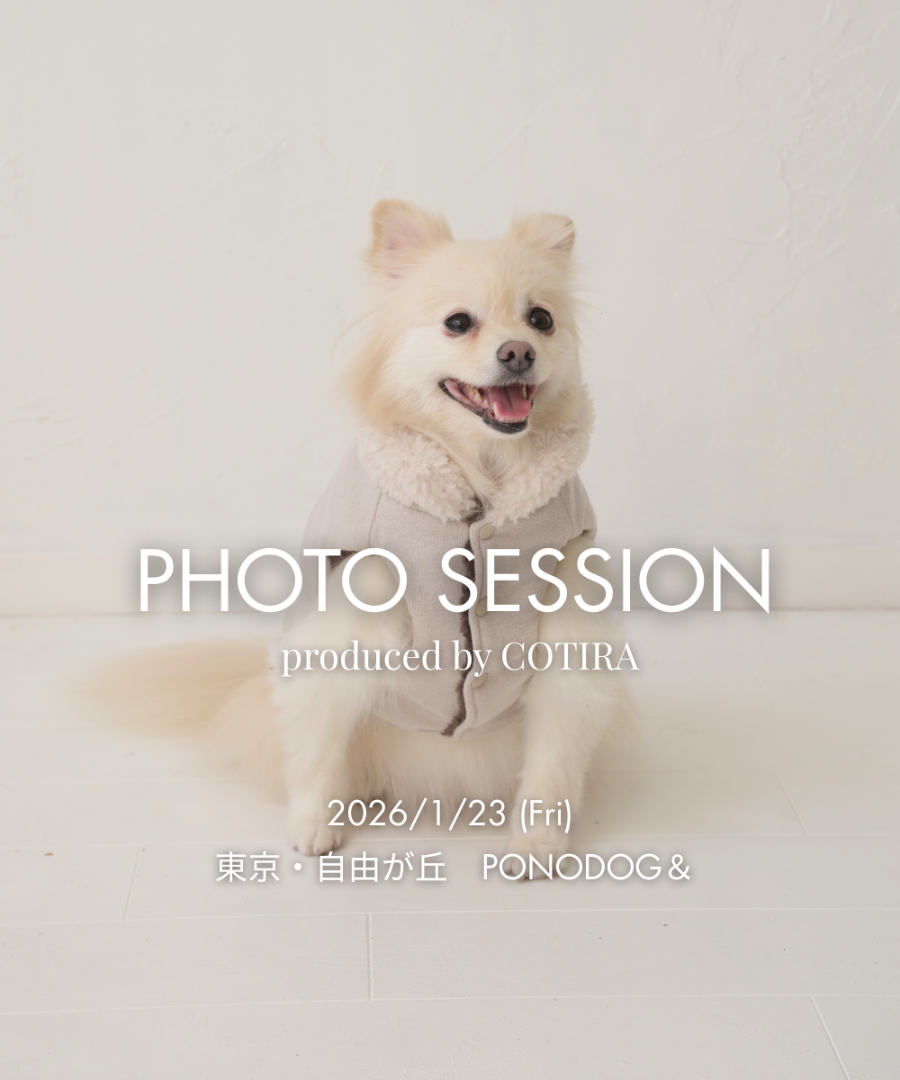 予約【小さな撮影会】2026年1月23日(金)PHOTO SESSION — produced by COTIRA