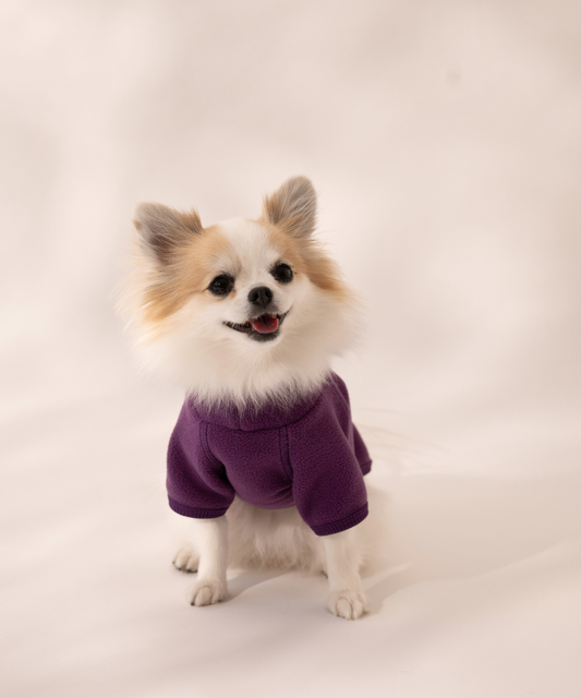 High-Neck Fleece　ハイネックフリース