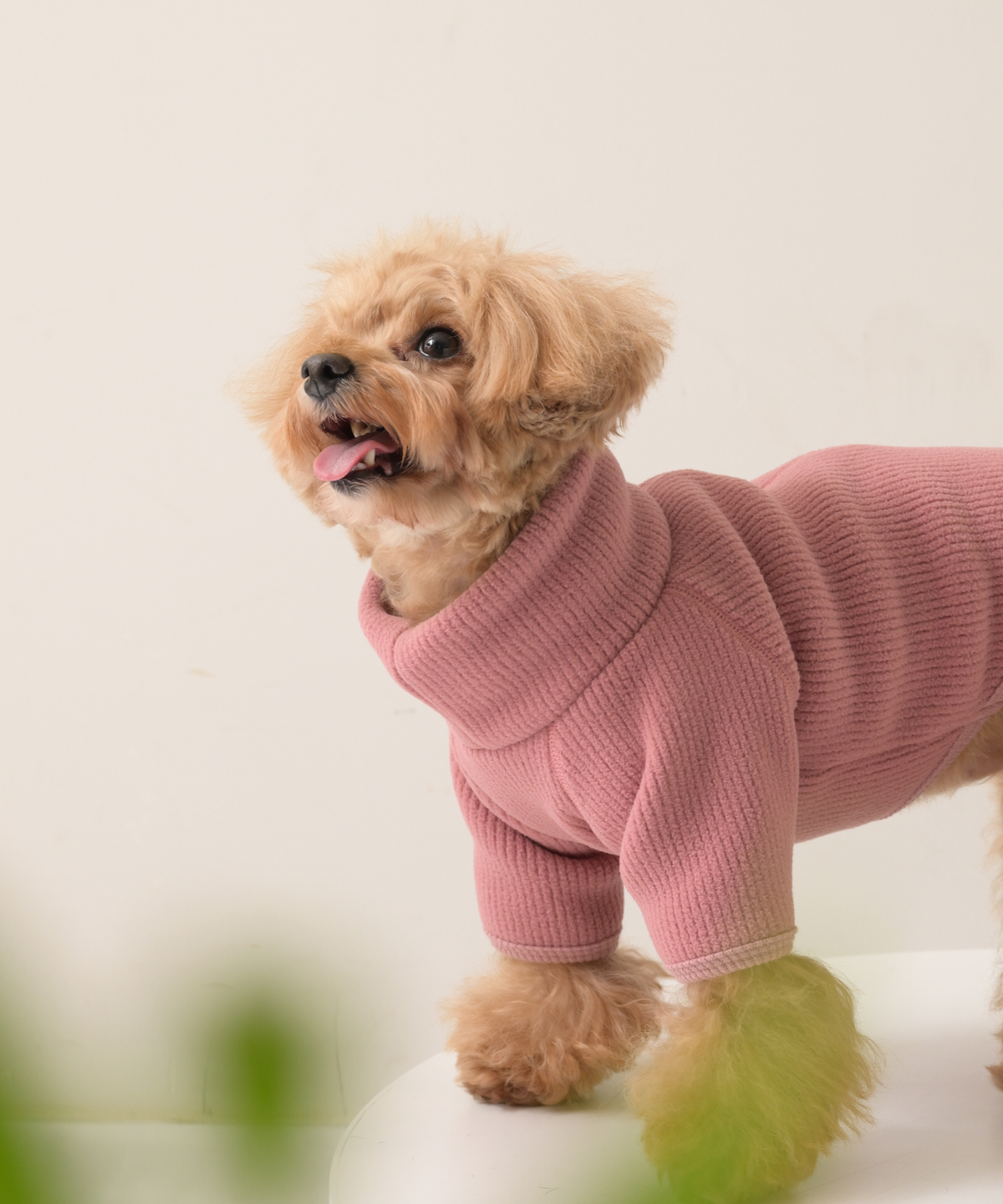 【10月24日（土）10:00 販売開始】　High-Neck Recycled Ribbed Fleece　ハイネックリサイクルリブフリース