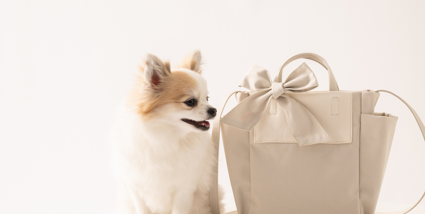 Ready Bag  オーガニックコットンお出かけバッグ（内側抗菌仕様）（2color）