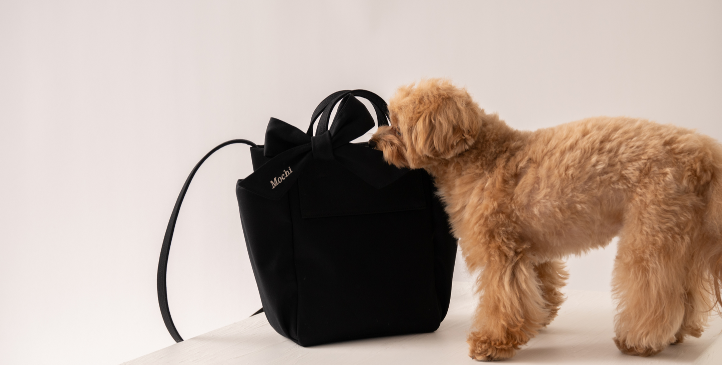 Ready Bag  オーガニックコットンお出かけバッグ（内側抗菌仕様）（2color）