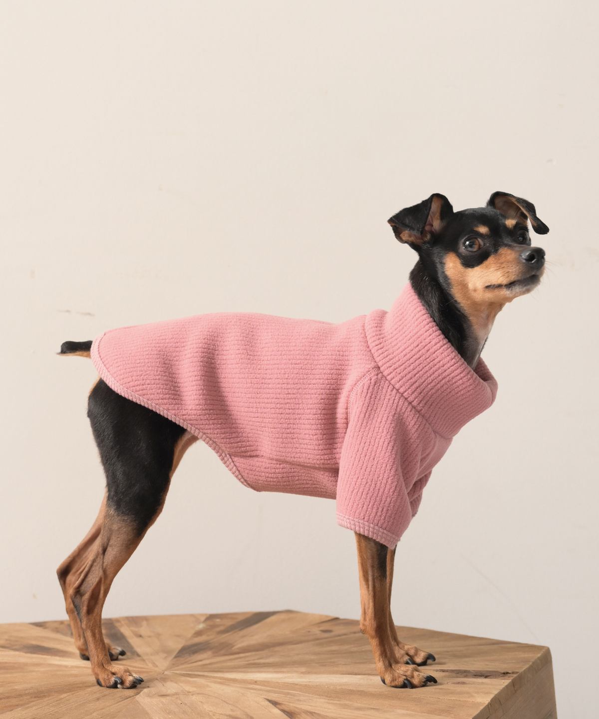 【10月24日（土）10:00 販売開始】　High-Neck Recycled Ribbed Fleece　ハイネックリサイクルリブフリース