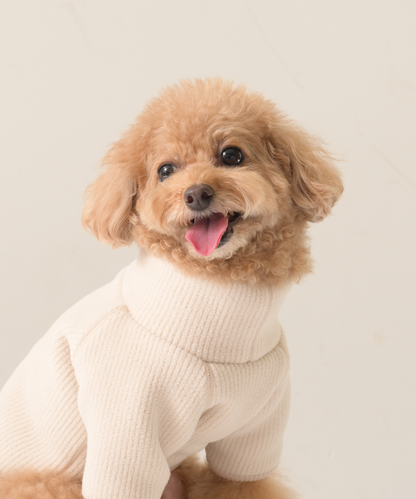 【10月24日（土）10:00 販売開始】　High-Neck Recycled Ribbed Fleece　ハイネックリサイクルリブフリース