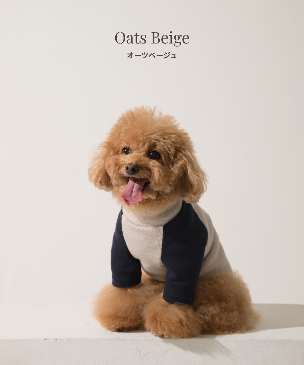 【Link Collection】Bicolor High-Neck Top　バイカラーハイネックトップス（３color）