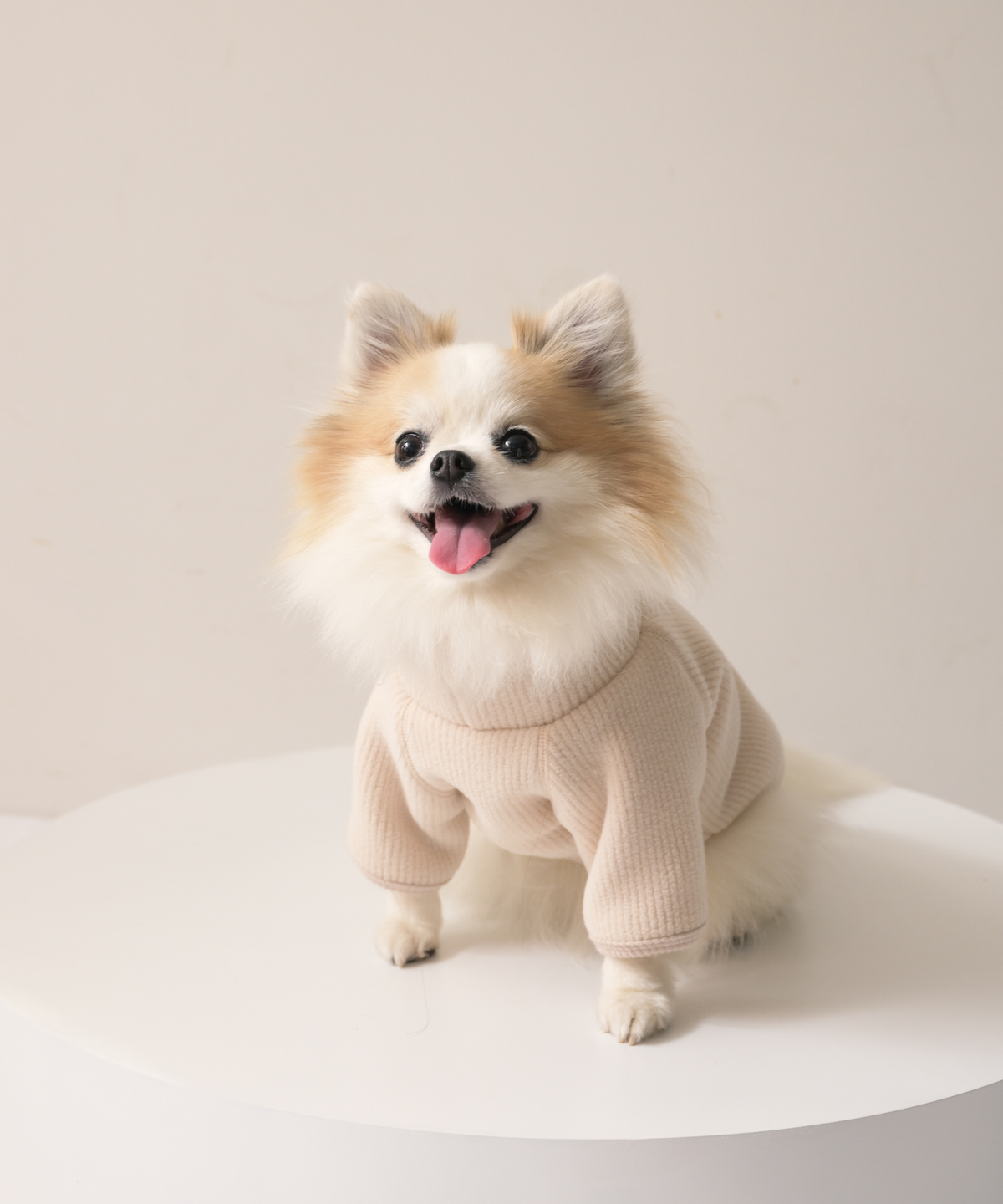 【10月24日（土）10:00 販売開始】　High-Neck Recycled Ribbed Fleece　ハイネックリサイクルリブフリース