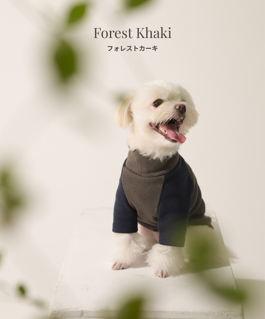 【Link Collection】Bicolor High-Neck Top　バイカラーハイネックトップス（３color）