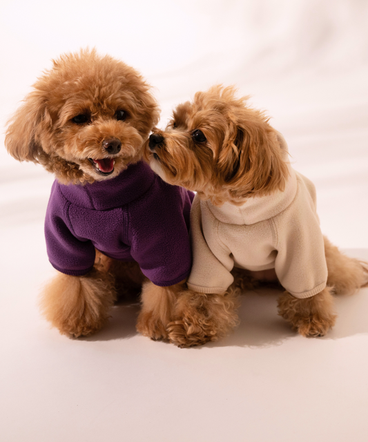 High-Neck Fleece　ハイネックフリース