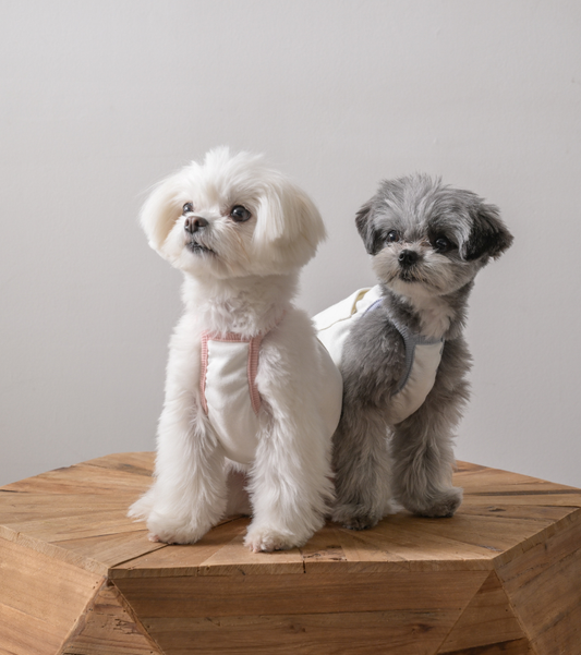 【名入れ刺繍特典付き：先行予約】Cropped Camisole ショート丈キャミソール（3color）保冷剤ポケット付き