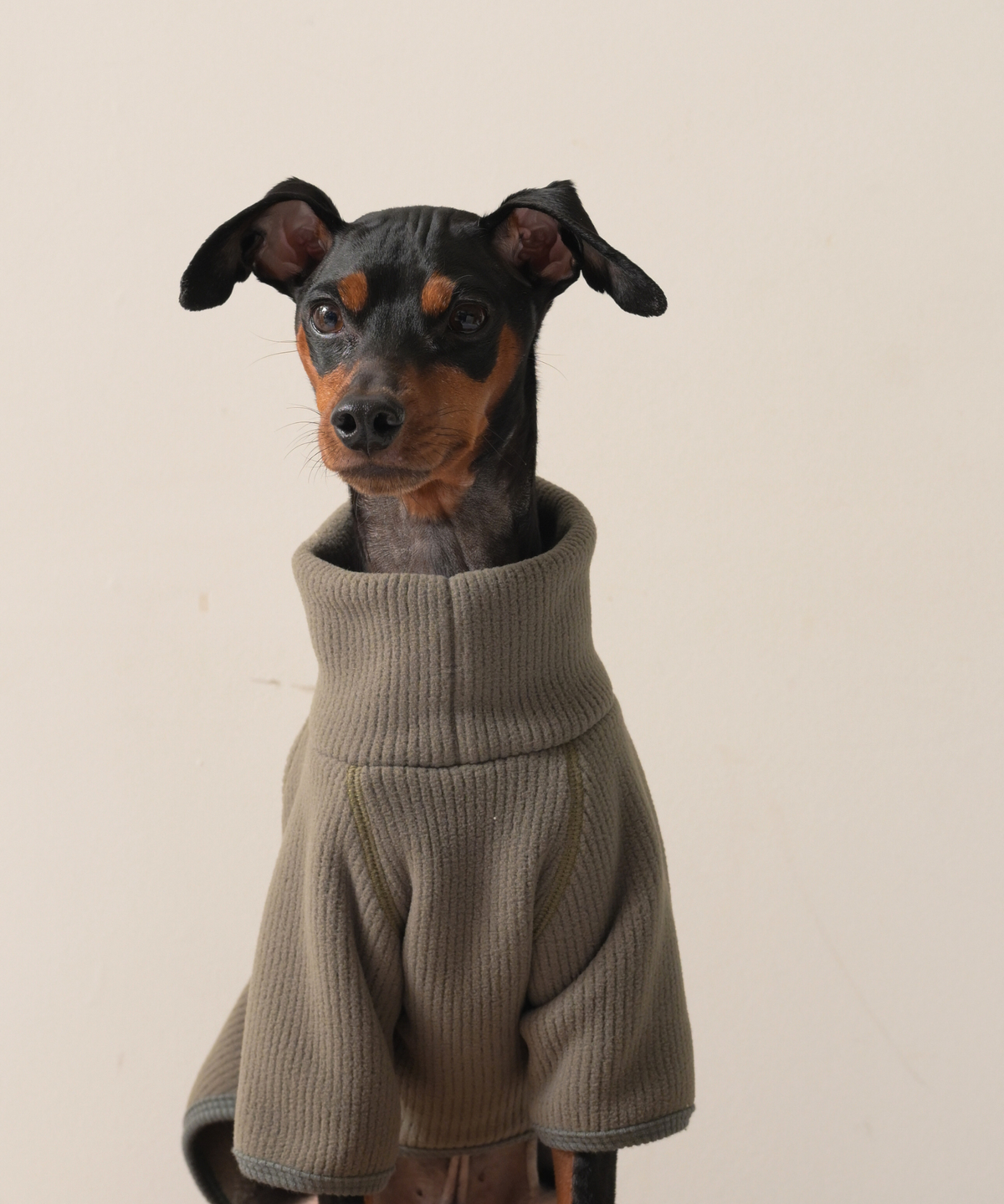 【10月24日（土）10:00 販売開始】　High-Neck Recycled Ribbed Fleece　ハイネックリサイクルリブフリース