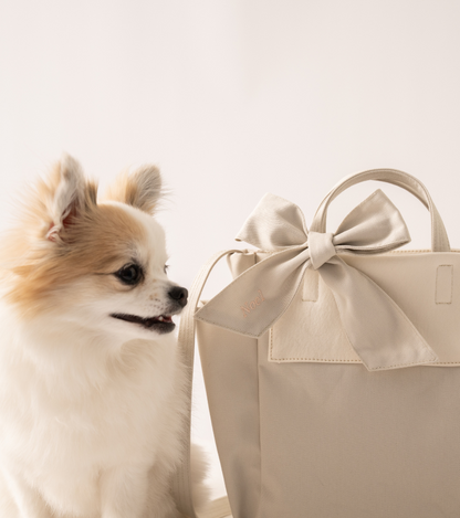 Ready Bag  オーガニックコットンお出かけバッグ（内側抗菌仕様）（2color）