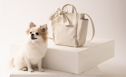 Ready Bag  オーガニックコットンお出かけバッグ（内側抗菌仕様）（2color）